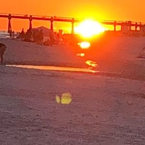 Meet your Posher, Lara